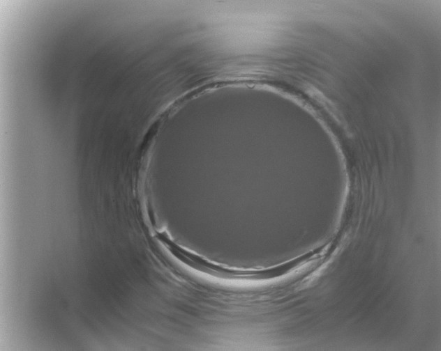 X0000071761449200607142350