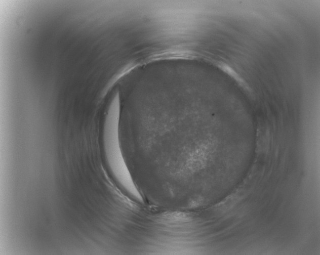 X0000071761450200607142350