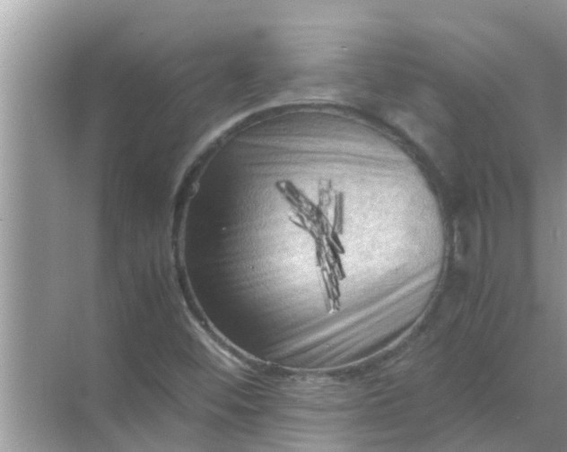 X0000071761452200607142350