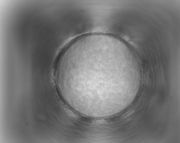 X0000071761454200607142350