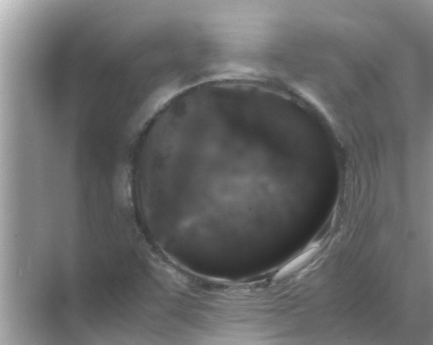 X0000071761455200607142350