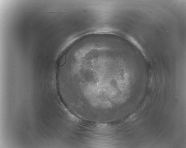 X0000071761456200607142350