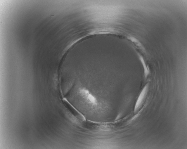 X0000071761457200607142350