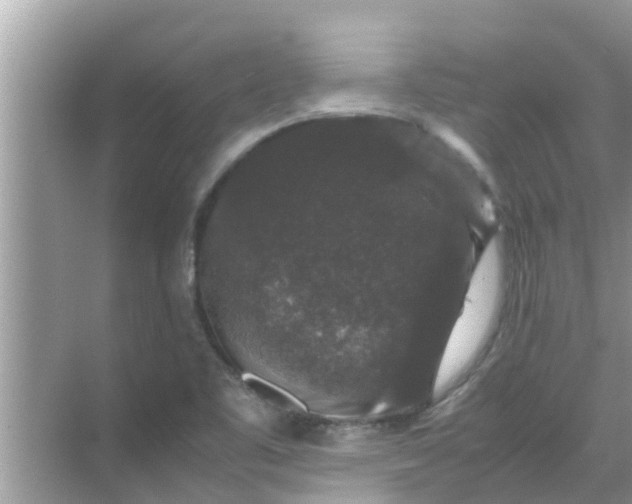 X0000071761461200607142350