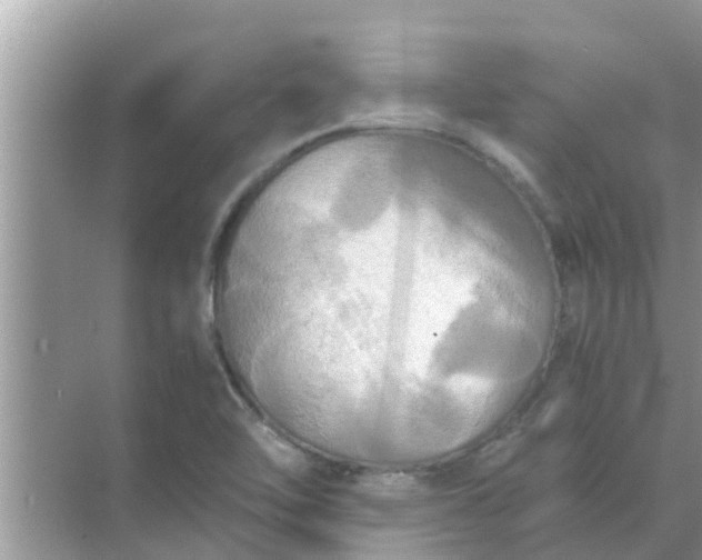 X0000071761462200607142350