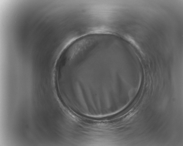 X0000071761463200607142350