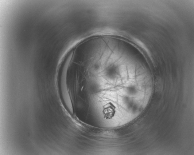 X0000071761464200607142350