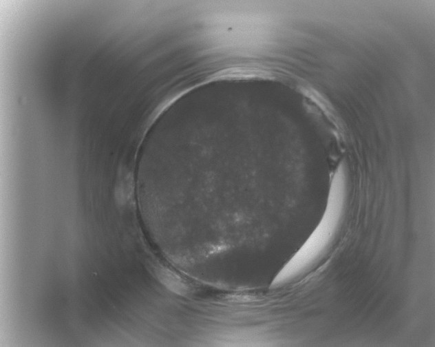 X0000071761465200607142350