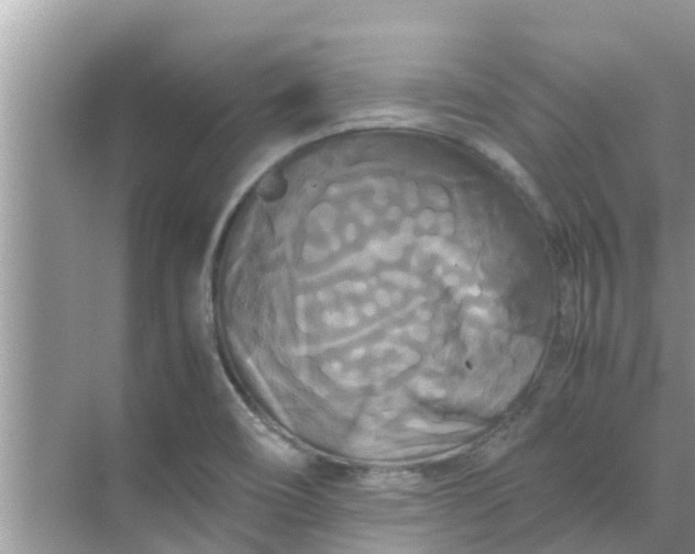 X0000071761466200607142350