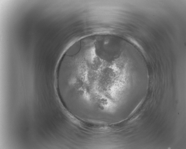 X0000071761467200607142350