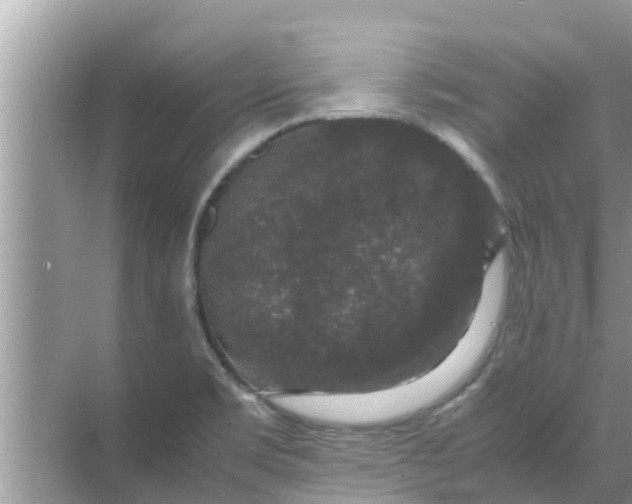 X0000071761469200607142350