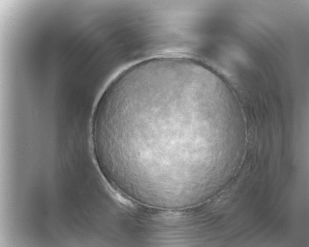 X0000071761470200607142350