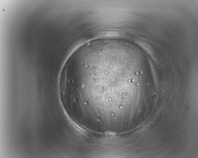 X0000071761475200607142349