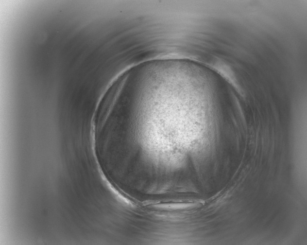 X0000071761476200607142349