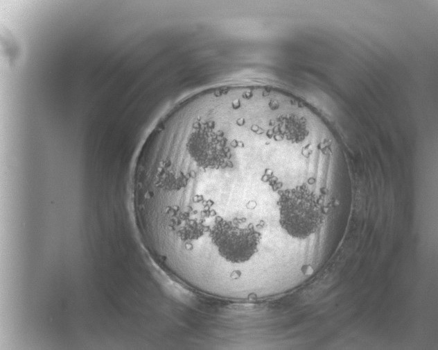 X0000071761478200607142349