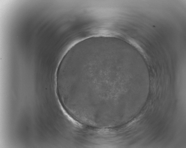 X0000071761479200607142349