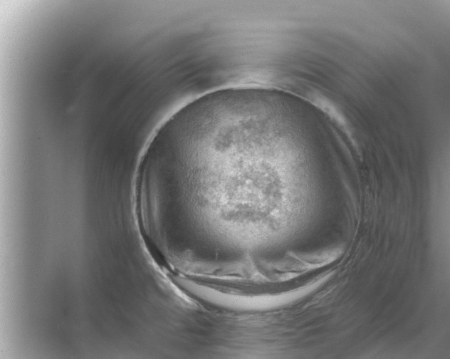 X0000071761480200607142349