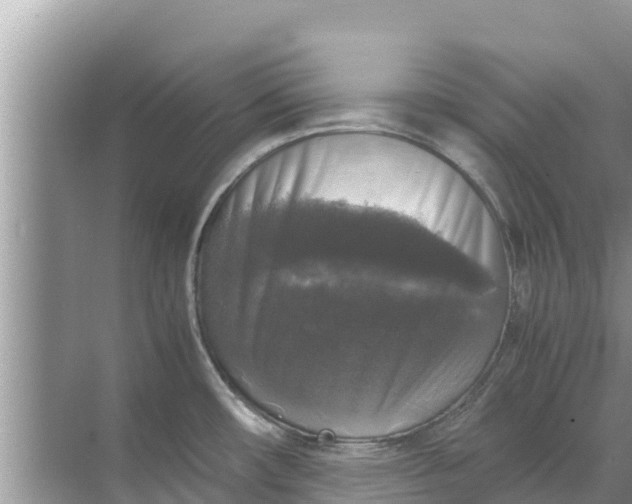 X0000071761482200607142349