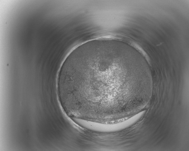 X0000071761483200607142349