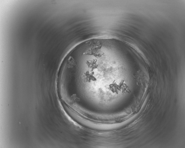 X0000071761484200607142349