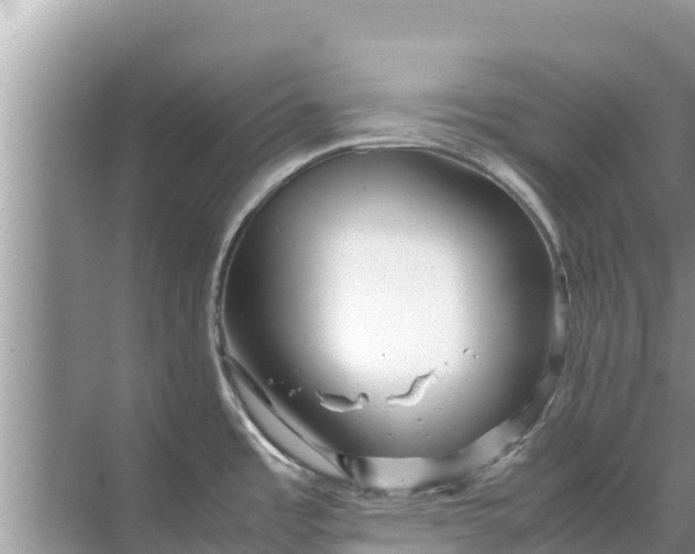 X0000071761485200607142349