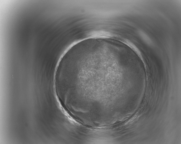 X0000071761488200607142349