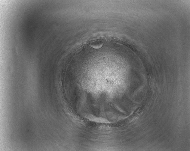 X0000071761489200607142348