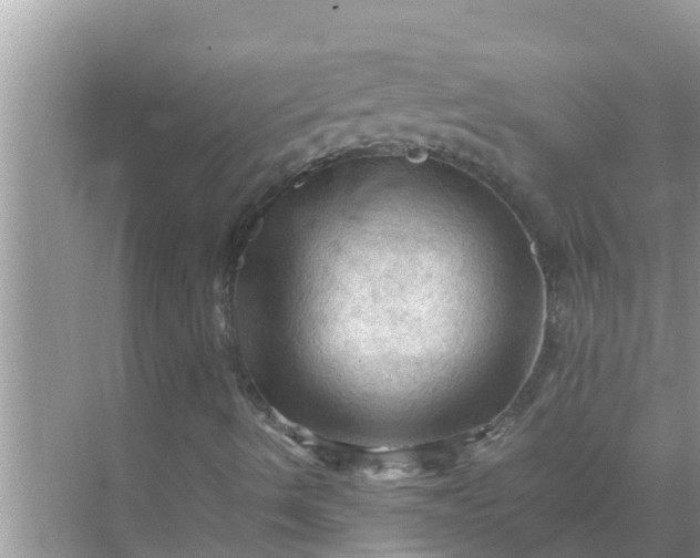 X0000071761490200607142348