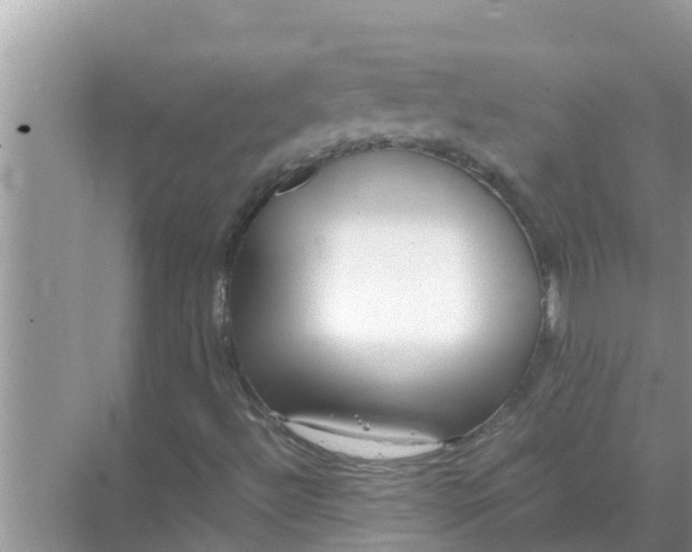 X0000071761492200607142348