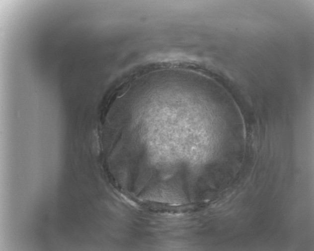 X0000071761493200607142349