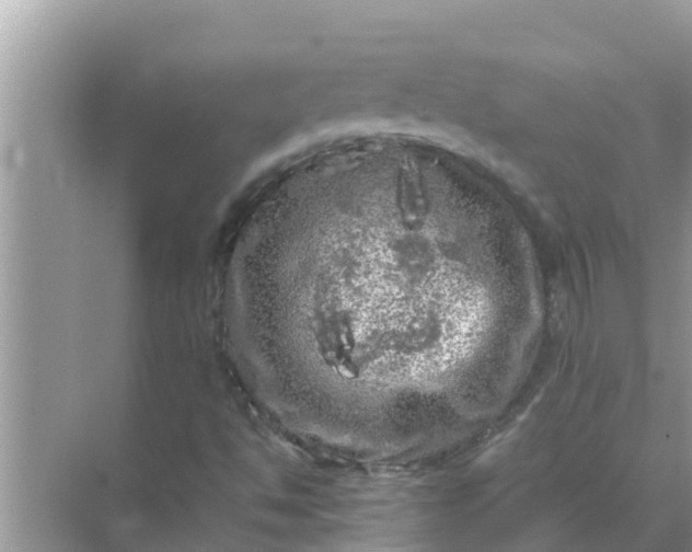 X0000071761494200607142349