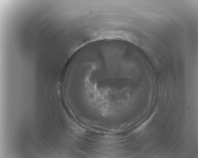 X0000071761497200607142349