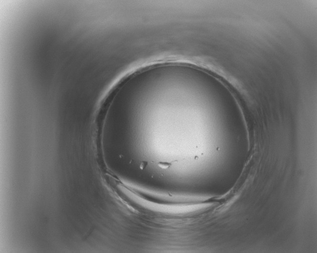 X0000071761502200607142349