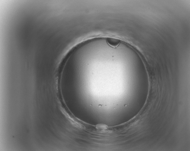 X0000071761503200607142349