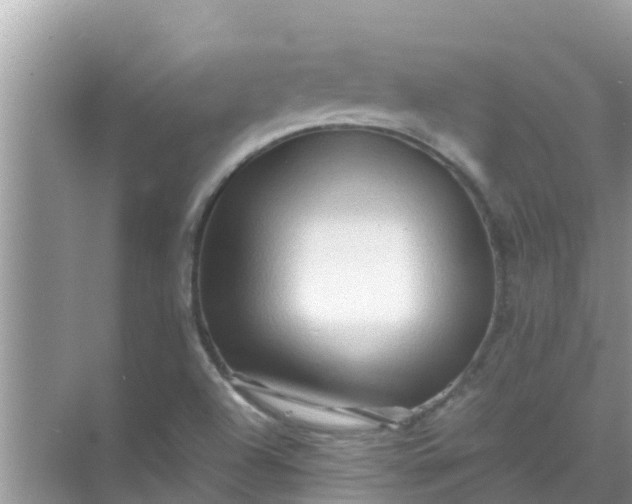 X0000071761504200607142349