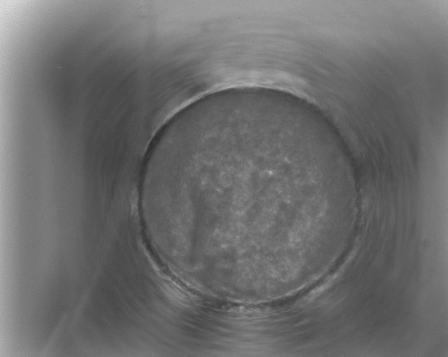 X0000071761505200607142349