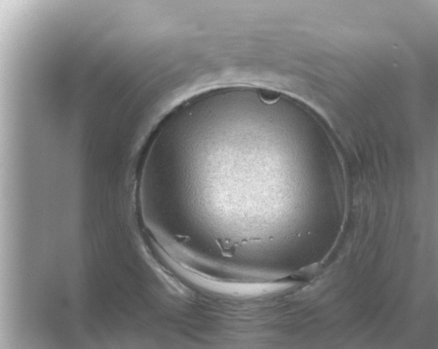 X0000071761507200607142349