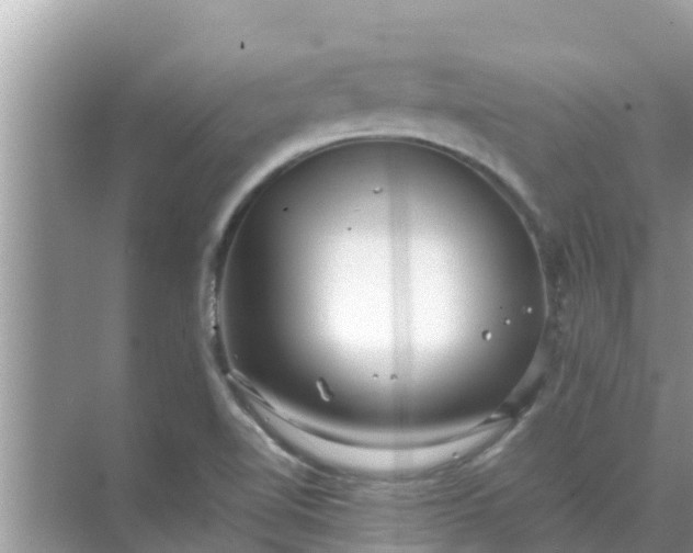 X0000071761510200607142349