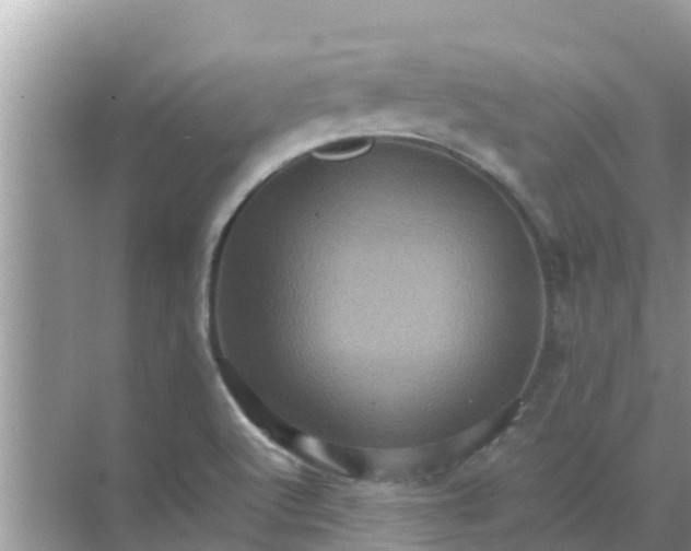 X0000071761512200607142349