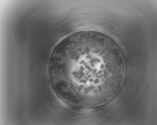 X0000071761513200607142349