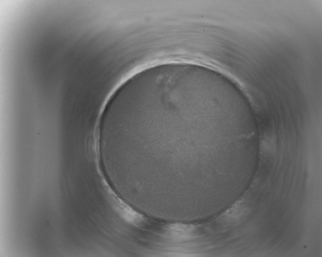 X0000071761514200607142349