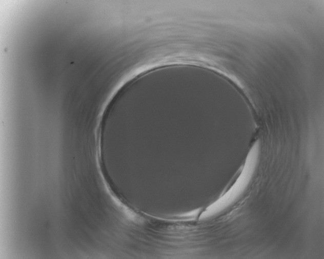 X0000071761515200607142349