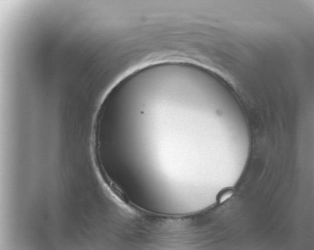 X0000071761518200607142349