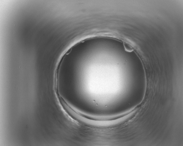 X0000071761520200607142349