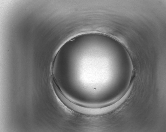 X0000071761524200607142349