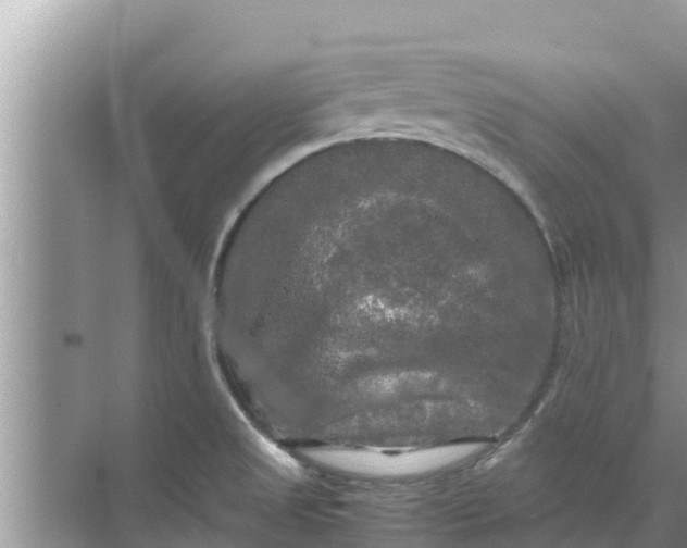 X0000071761525200607142349