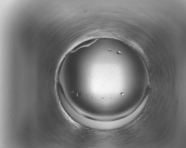 X0000071761528200607142349