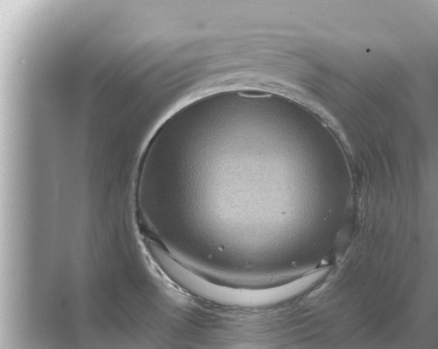 X0000071761530200607142349