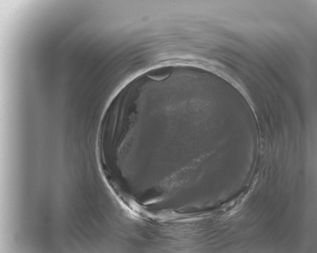 X0000071761533200607142349