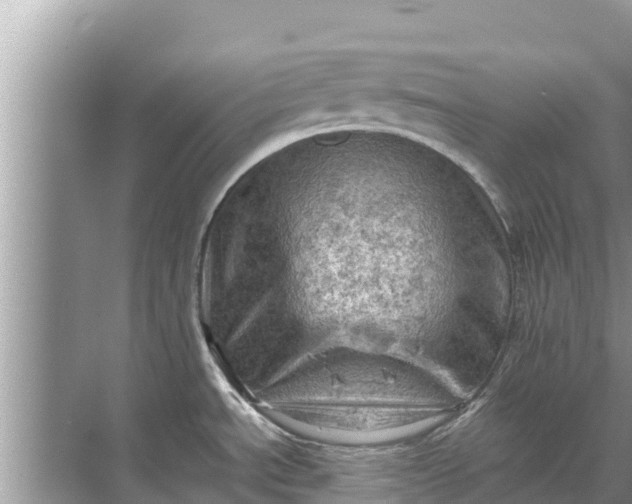 X0000071761534200607142349